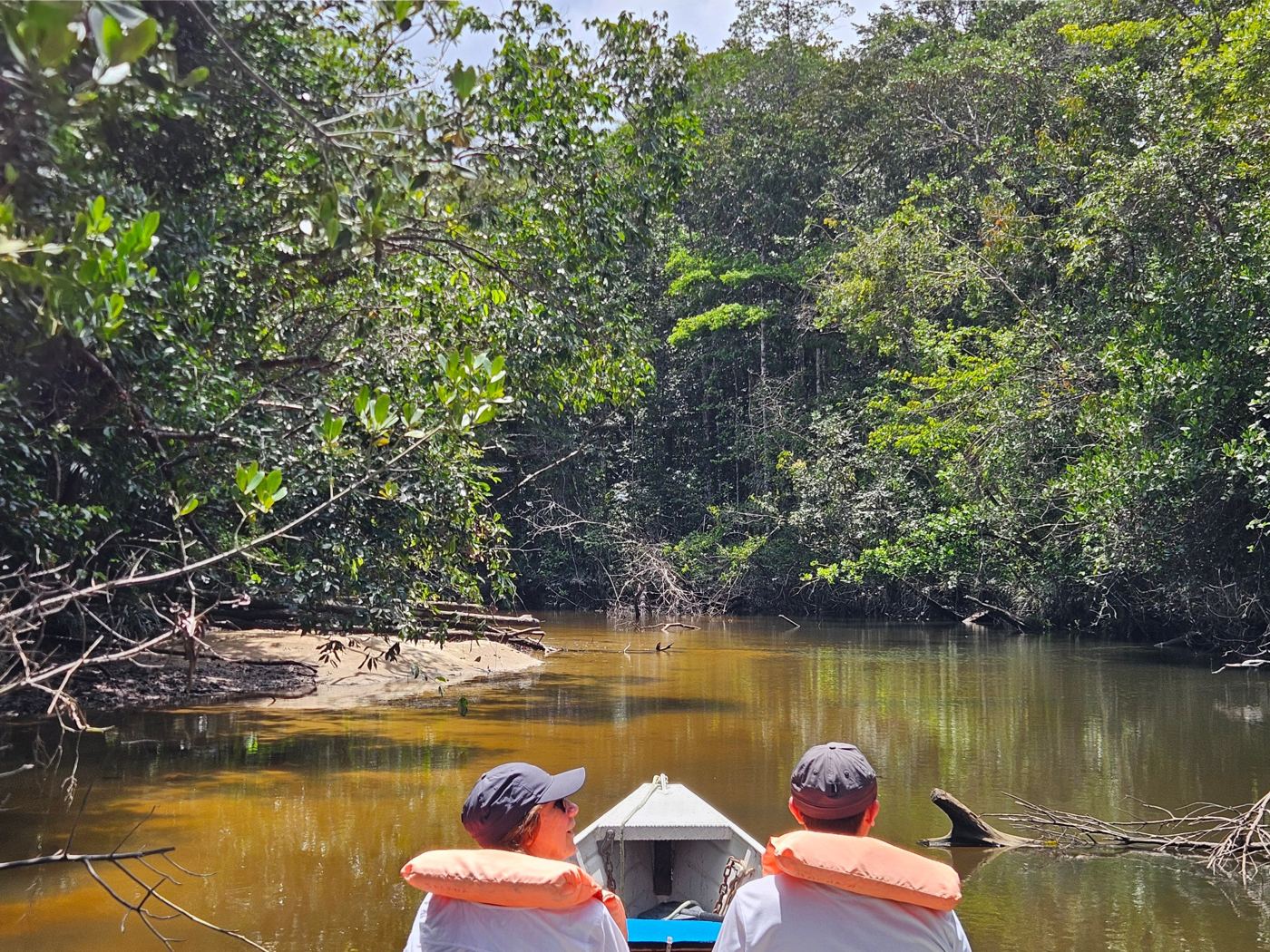 Deux passagers à l'avant du bateau dans la mangrove de Montsinéry